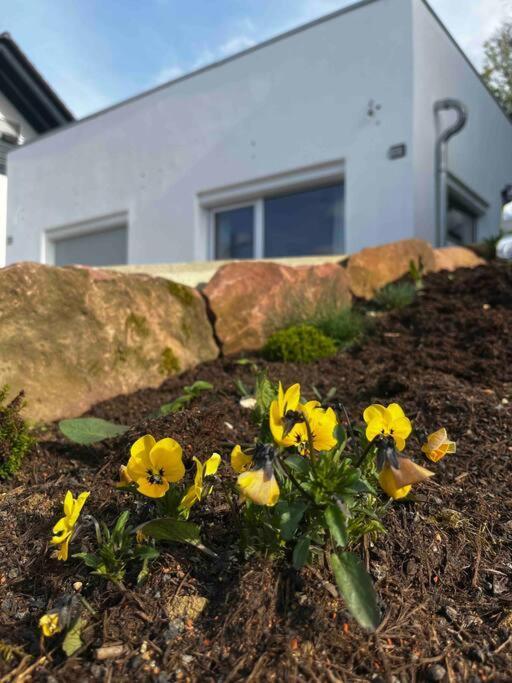 Apartment Bellalegna Geislingen an der Steige Zewnętrze zdjęcie